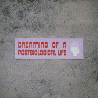 INFINITE SATIRE BUMPER STICKER