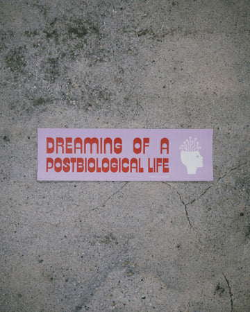 INFINITE SATIRE BUMPER STICKER