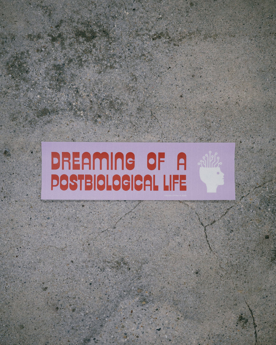 INFINITE SATIRE BUMPER STICKER