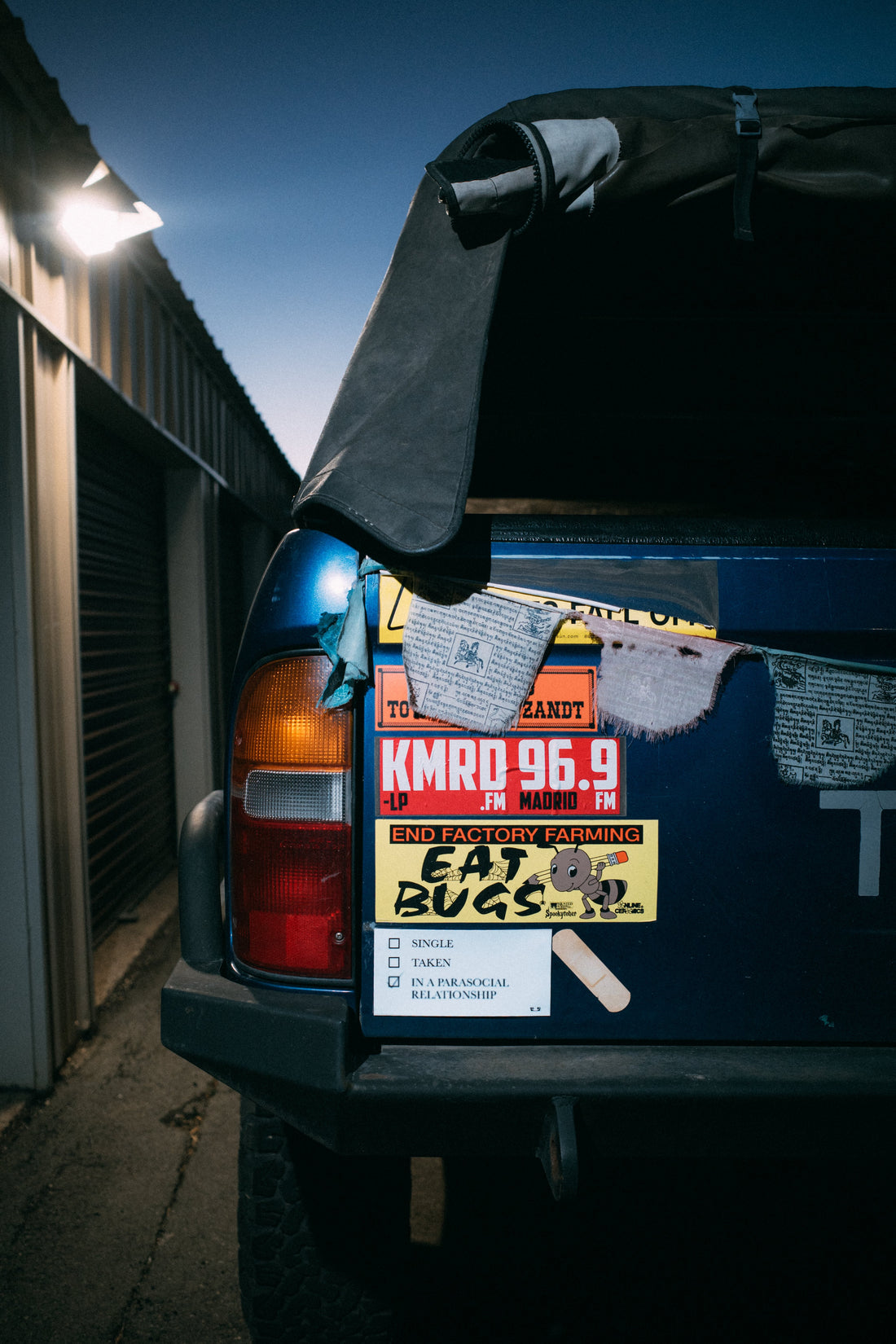 Parasocial Love Bumper Sticker