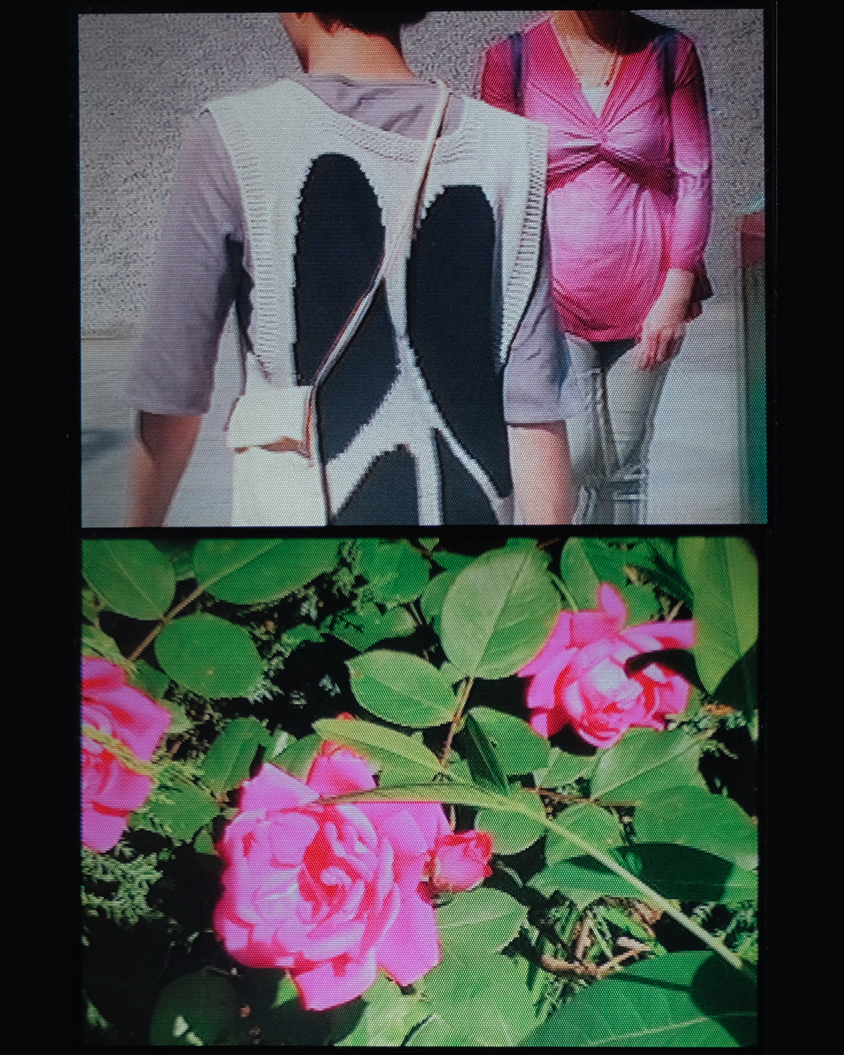 Vestige Sweater