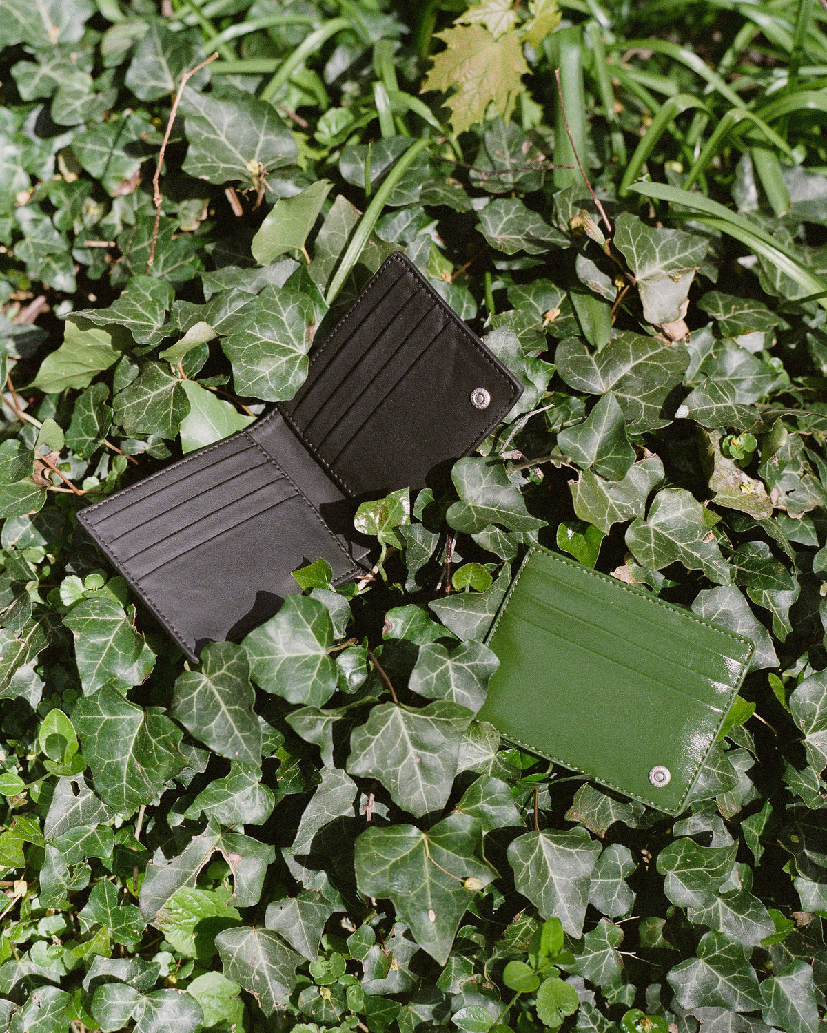 Cardholder