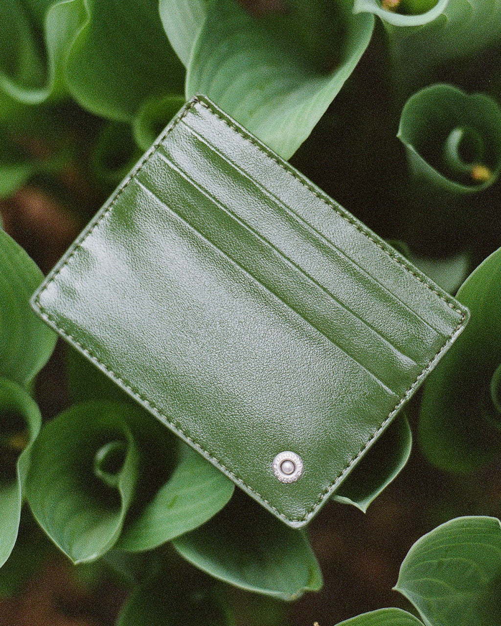 Cardholder