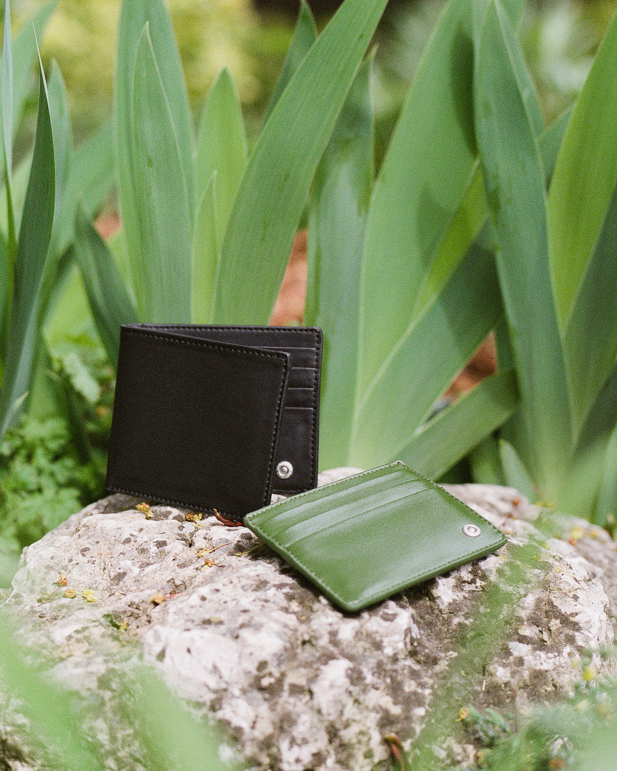 Cardholder
