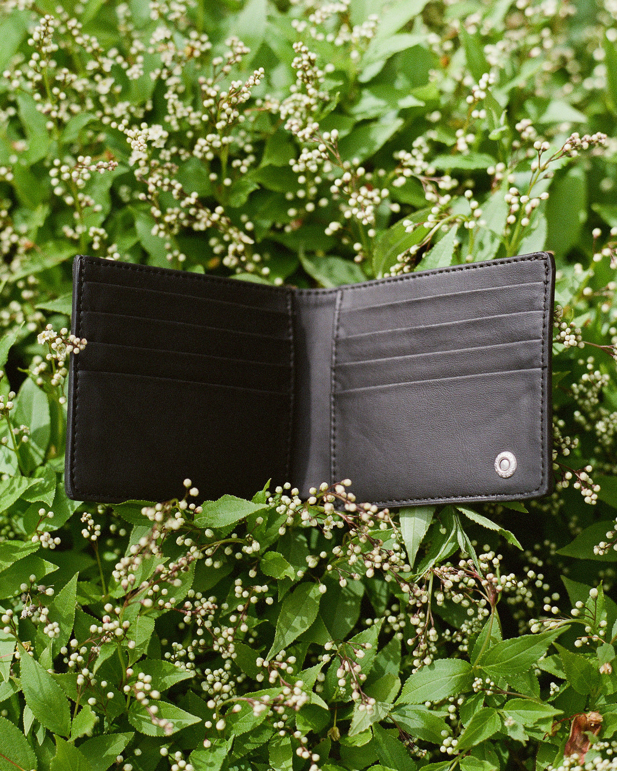 Bifold