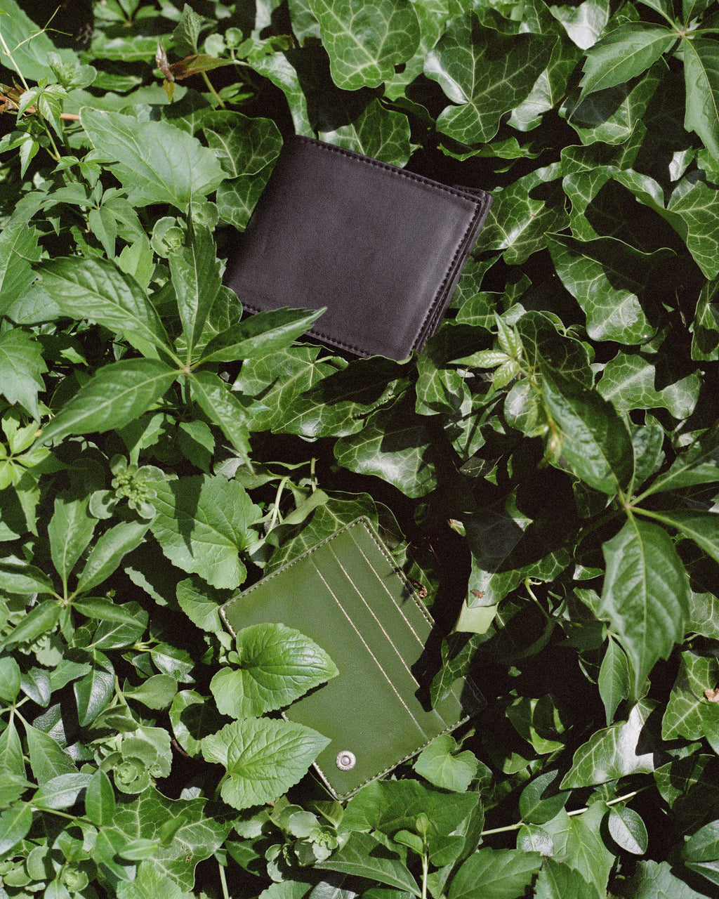 Bifold