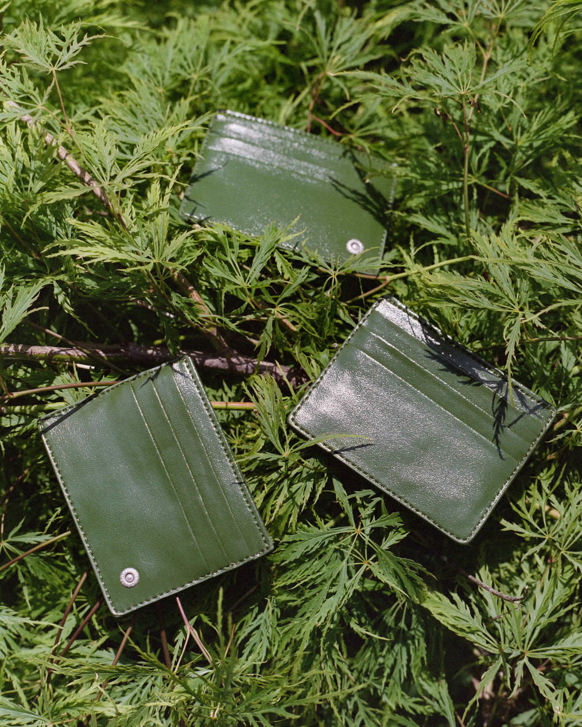 Cardholder