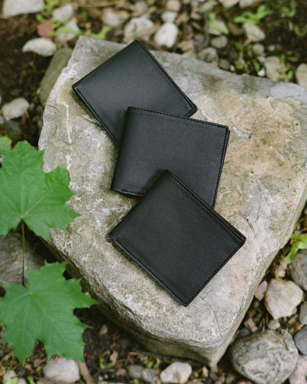 Bifold