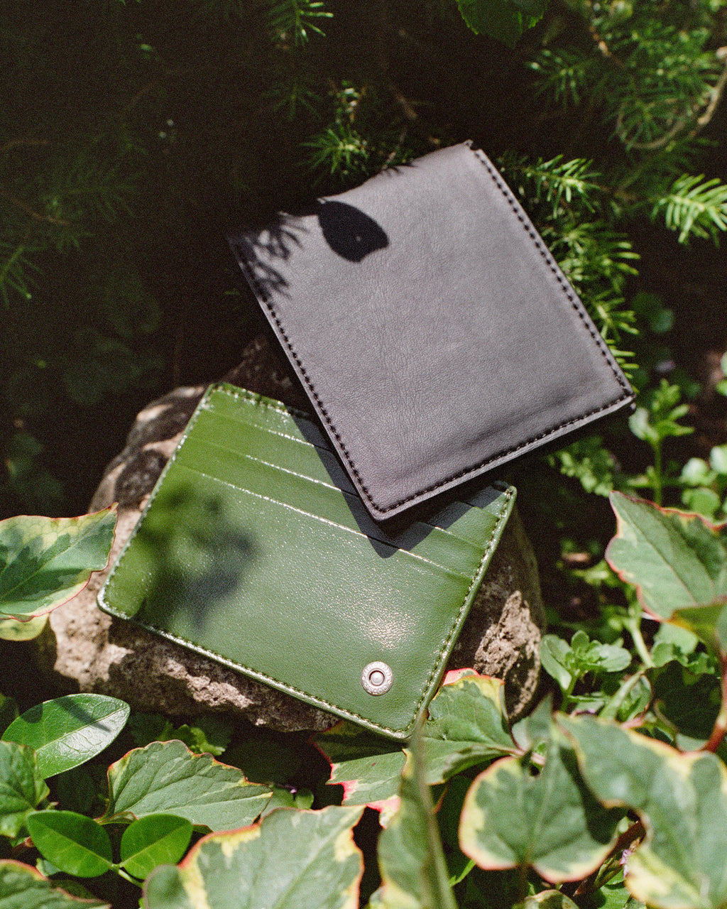 Cardholder